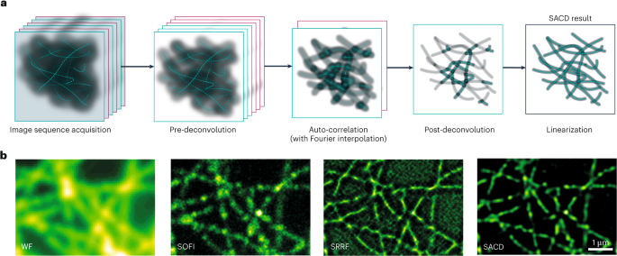 Deconvolution enhances fluctuation detection paper preview