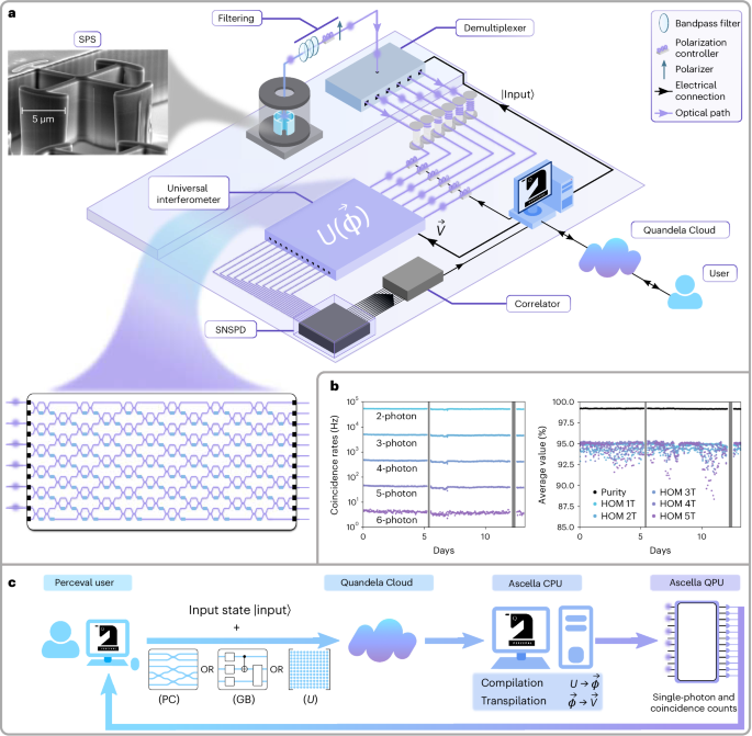 A versatile single-photon-based quantum computing platform