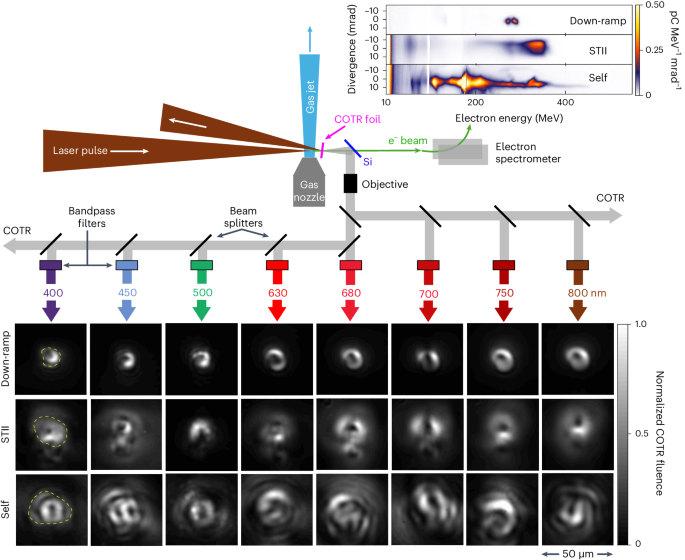 Revealing the three-dimensional structure of microbunched plasma 