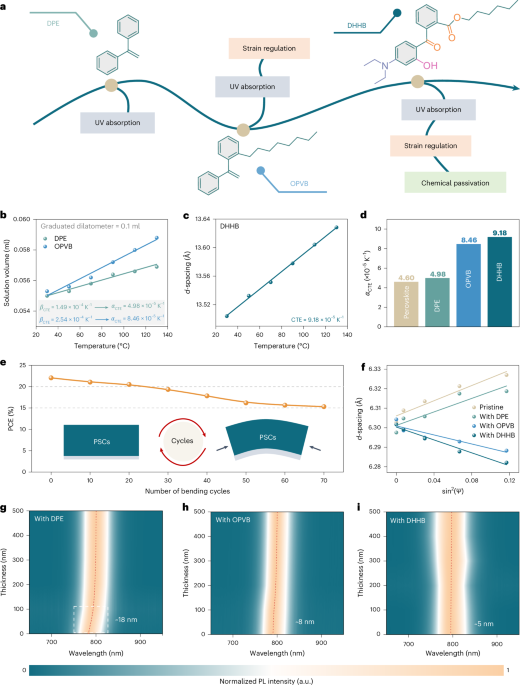 In situ dynamic regulation of strain at the buried interface of stable ...