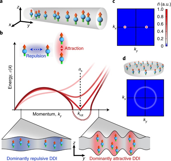 Observation Of Roton Mode Population In A Dipolar Quantum Gas Nature Physics