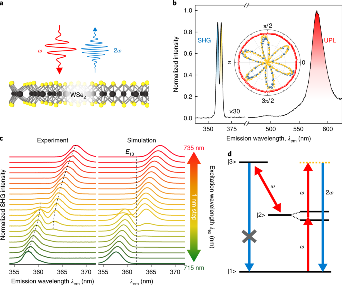 Ikke kompliceret diskret favorit Quantum interference in second-harmonic generation from monolayer WSe2 |  Nature Physics