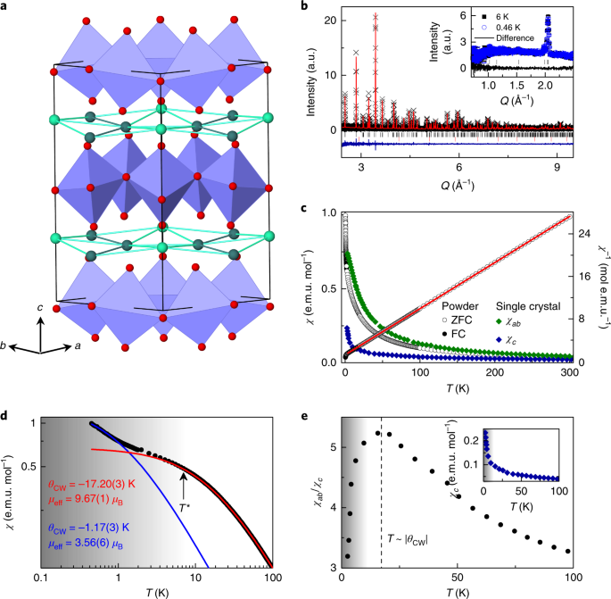 Two-dimensional spin liquid behaviour in the triangular-honeycomb antiferromagnet tbino3