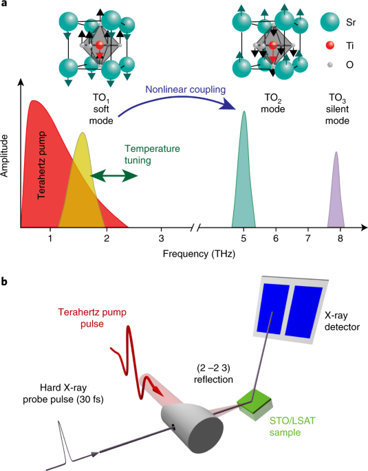 Terahertz-driven phonon upconversion in SrTiO3