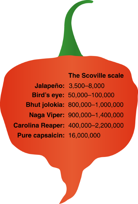 Pure Capsaicine 1,3 million Scoville