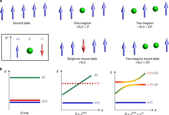 Hybridized Quadrupolar Excitations In The Spin Anisotropic Frustrated Magnet Fei 2 Nature Physics Hybridized Quadrupolar Excitations In The Spin Anisotropic Frustrated Magnet Fei 2 Nature Physics