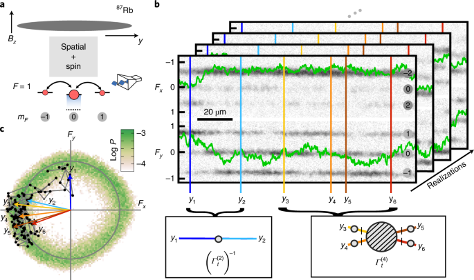 Experimental Extraction Of The Quantum Effective Action For A Non Equilibrium Many Body System Nature Physics