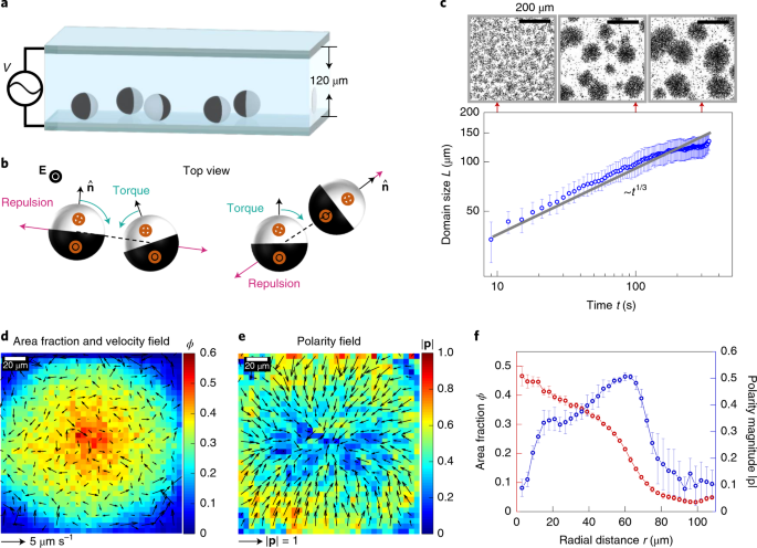 Active Phase Separation Turning Towards Regions Of Higher Density Nature Physics
