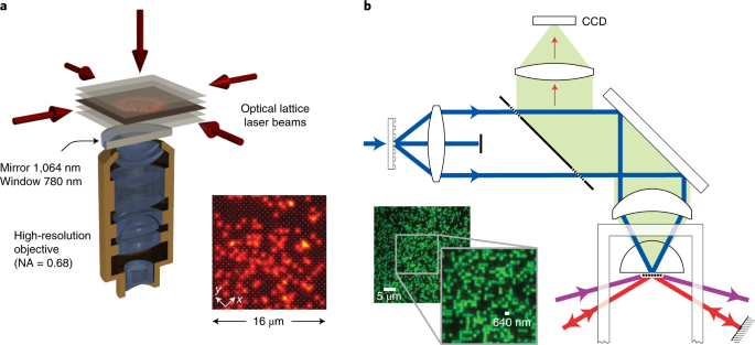 Quantum gas microscopy for single atom and spin detection | Nature 