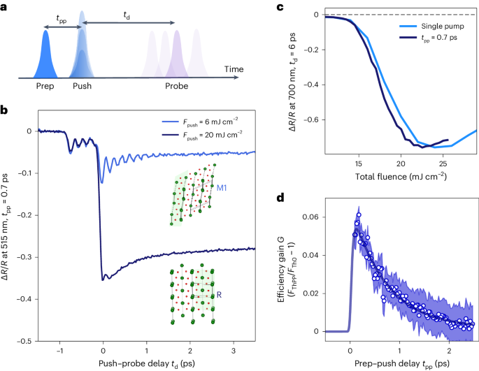 All-optical seeding of a light-induced phase transition with correlated disorder