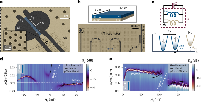 Circuit quantum electrodynamics detection of induced two-fold anisotropic pairing in a hybrid superconductor–ferromagnet bilayer - Nature Physics