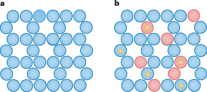 Bacterial sensors poised at criticality - Nature Physics