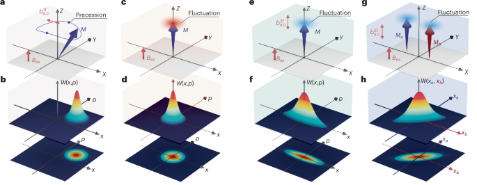 Single- and two-mode magnon thermal squeezing - Nature Physics