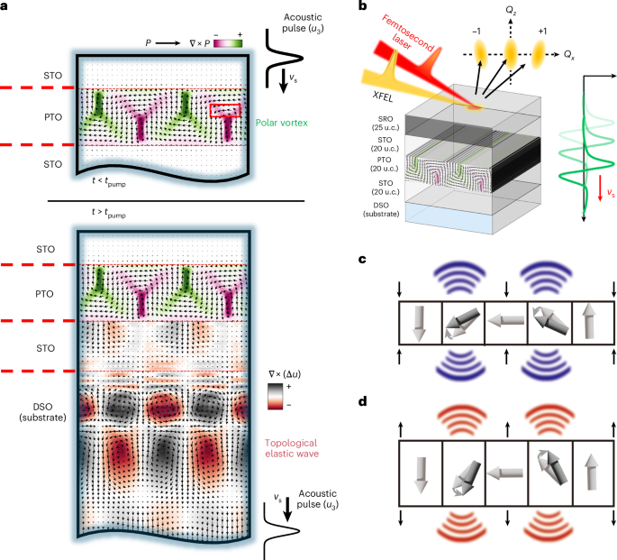 Topological structures can be designed to display desired properties or functions. As now shown, a periodic structure of polar vortices can, upon piezoelectric 