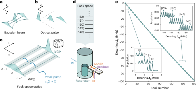 Bosonic quantum states can be understood as superpositions of eigenstates with fixed numbers of bosons. Now experiments show that mapping this representation to