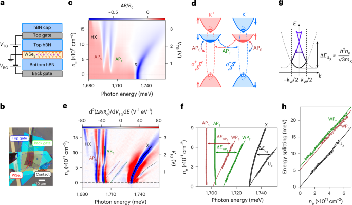 Spectroscopy of Wigner crystal polarons in an atomically thin semiconductor