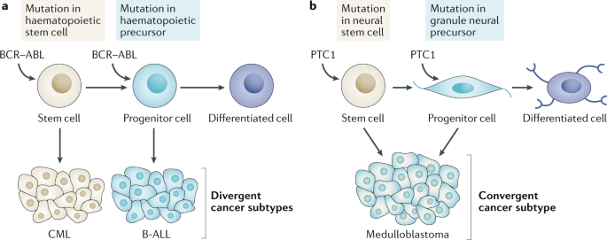 benign cancer stem cells