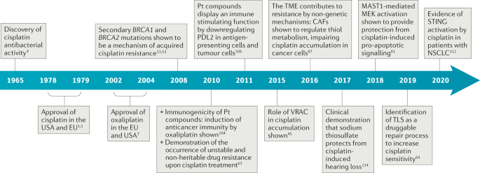 The rediscovery of platinum-based cancer therapy | Nature Reviews Cancer The rediscovery of platinum-based cancer therapy | Nature Reviews Cancer