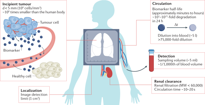 Synthetic biomarkers: a twenty-first century path to early cancer detection