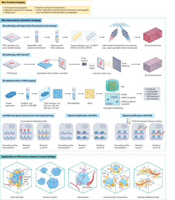 3D multi-omics tumour atlases: from technology to biology and clinical translation — GLOBAL — Aslikannih