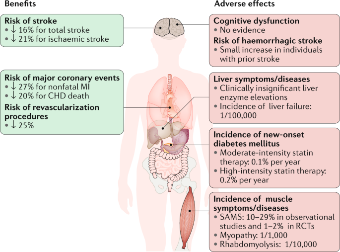 Safety and efficacy of statin therapy | Nature Reviews Cardiology