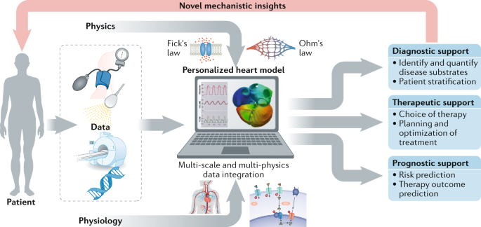 Computational and experimental models of the human torso for non