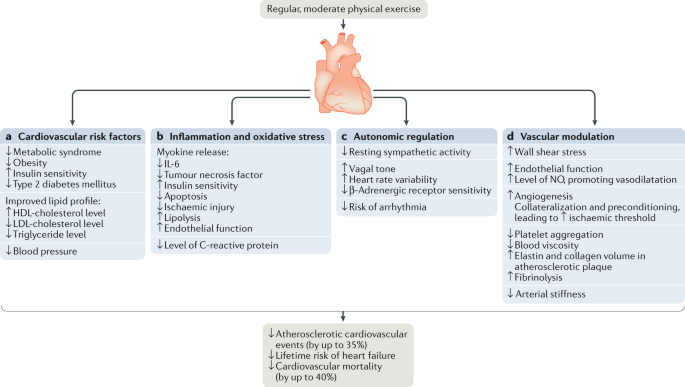 Exercise versus no exercise for the occurrence, severity and