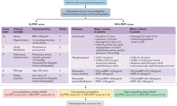 Evaluation And Management Of Heart Failure With Preserved Ejection Fraction Nature Reviews Cardiology