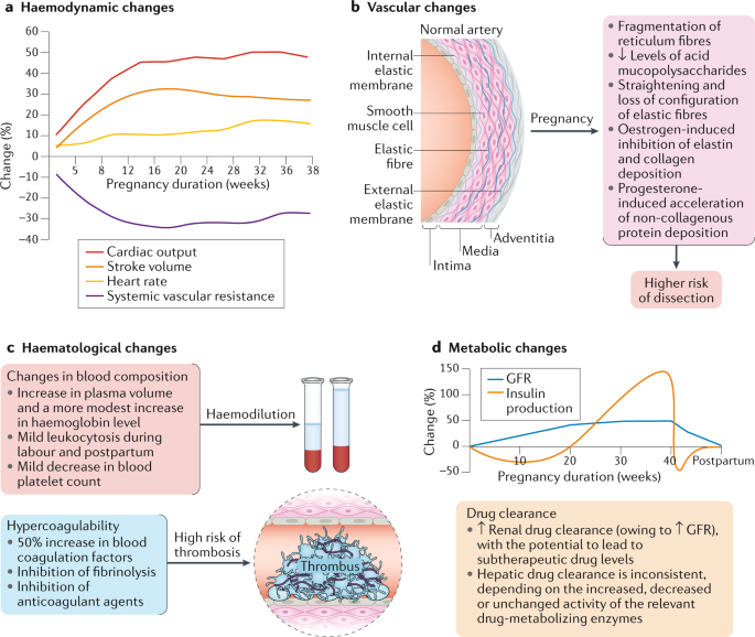 Pregnancy and cardiovascular disease | Nature Reviews Cardiology