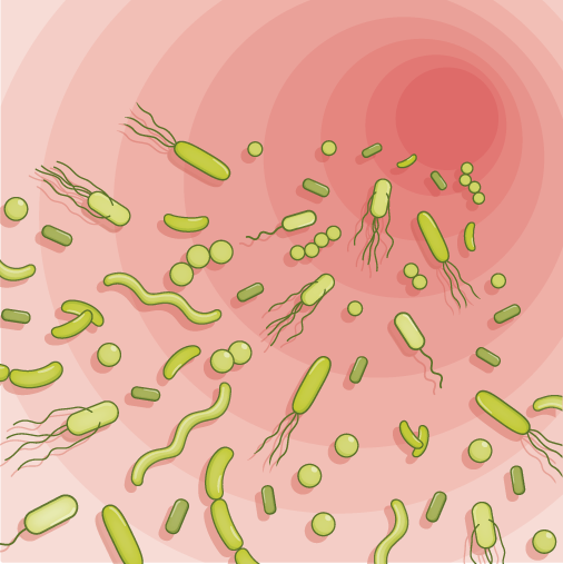 Microbial metabolites reduce sbp in patients with resistant hypertension