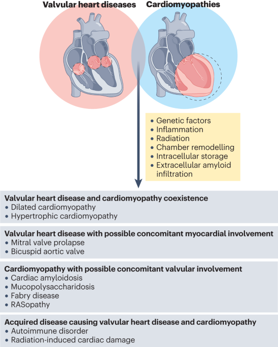 Longitudinal strain bull's eye plot patterns in patients with  cardiomyopathy and concentric left ventricular hypertrophy, European  Journal of Medical Research