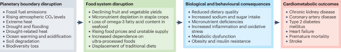 Climate change, food system disruption and future cardiometabolic disease ...