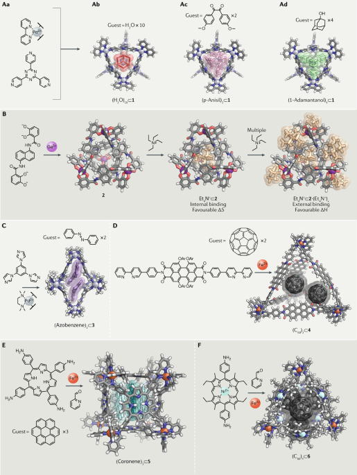 Strategies for binding multiple guests in metal–organic cages ...