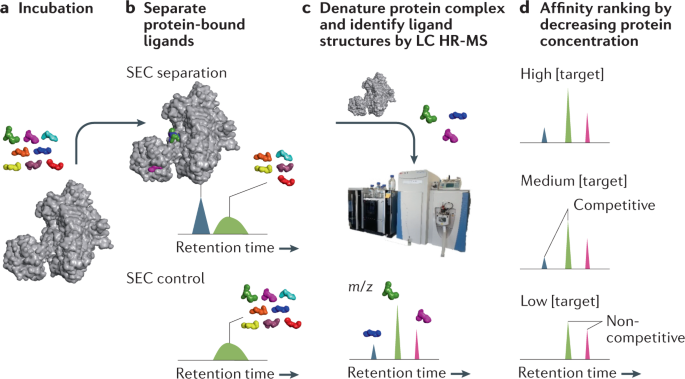 Exploring New Targets And Chemical Space With Affinity Selection Mass Spectrometry Nature Reviews Chemistry