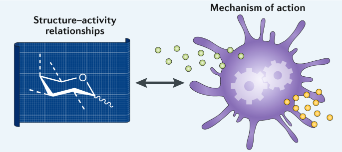 Natural And Synthetic Carbohydrate Based Vaccine Adjuvants And Their Mechanisms Of Action Nature Reviews Chemistry