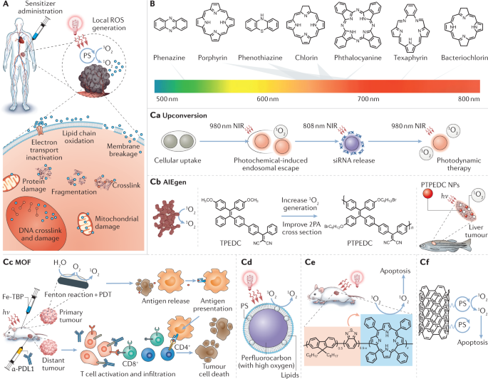 Interrogating biological systems using visible-light-powered catalysis