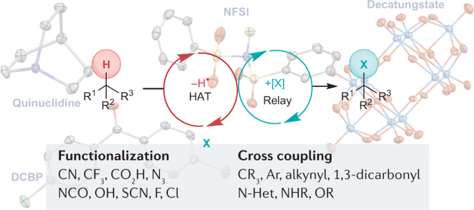 Radical C(sp3)–H functionalization and cross-coupling reactions | Nature  Reviews Chemistry