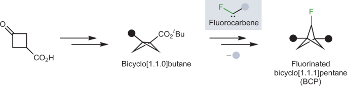Taking fluorine to the bridge | Nature Reviews Chemistry