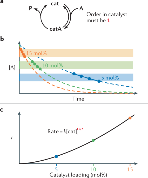 Mechanistic interpretation of orders in catalyst greater than one