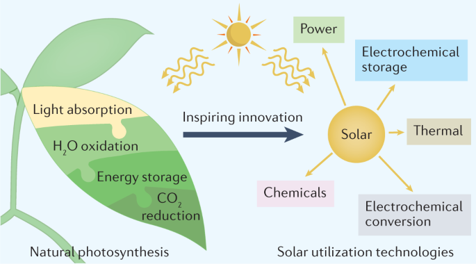 Solar utilization beyond photosynthesis
