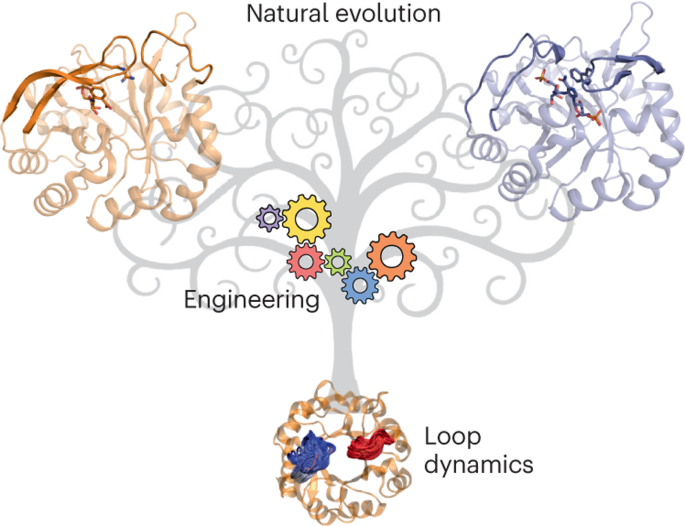 loop Meaning & Origin