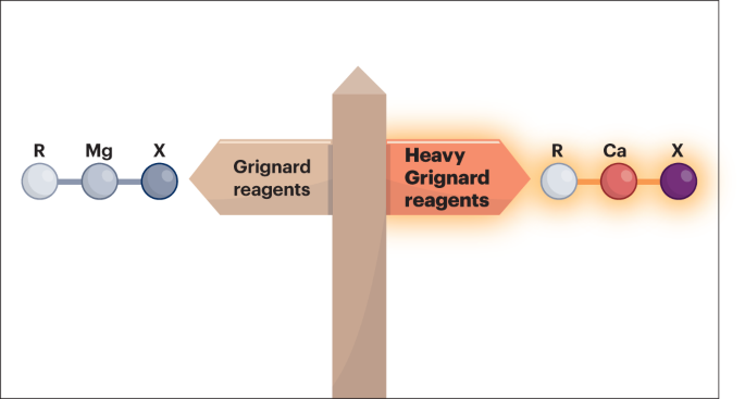 Opportunities with calcium Grignard reagents and other heavy 