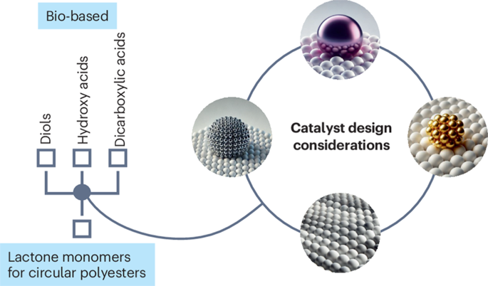 Production of bio-based lactones as monomers for a circular polymer economy - Nature Reviews Chemistry