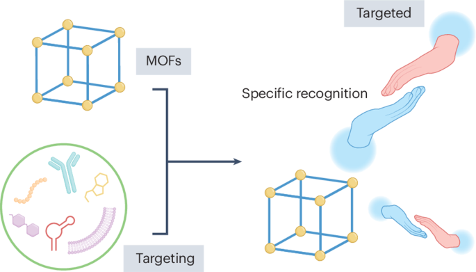dr james glutathione side effects Enhancing the targeting ability of metal–organic frameworks in cancer  therapy and diagnosis