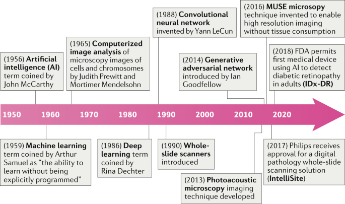 Artificial intelligence in digital pathology — new tools for diagnosis and  precision oncology | Nature Reviews Clinical Oncology