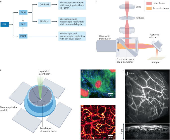 The emerging role of photoacoustic imaging in clinical oncology