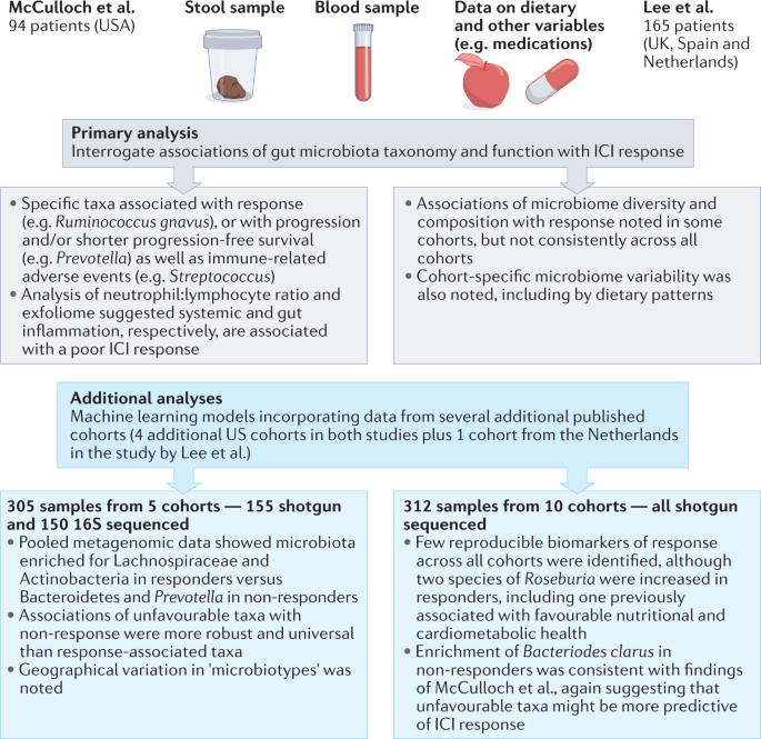 Gut microbes as biomarkers of ici response — sharpening the focus