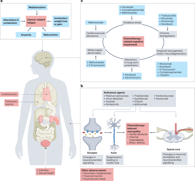 Mitigating long-term and delayed adverse events associated with cancer  treatment: implications for survivorship