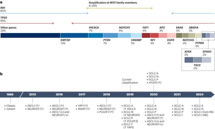 Emerging advances in defining the molecular and therapeutic landscape ...