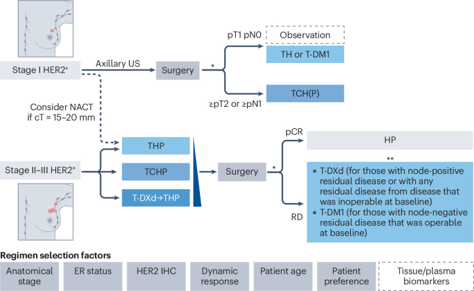 HER2-Positive Breast Cancer Treatment Refined by Clinical Advancements